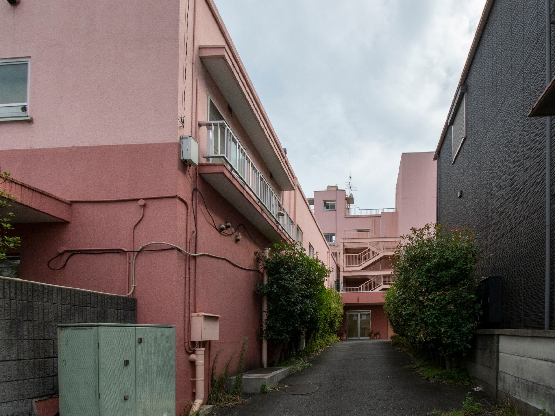 玄関前は、木を設置
