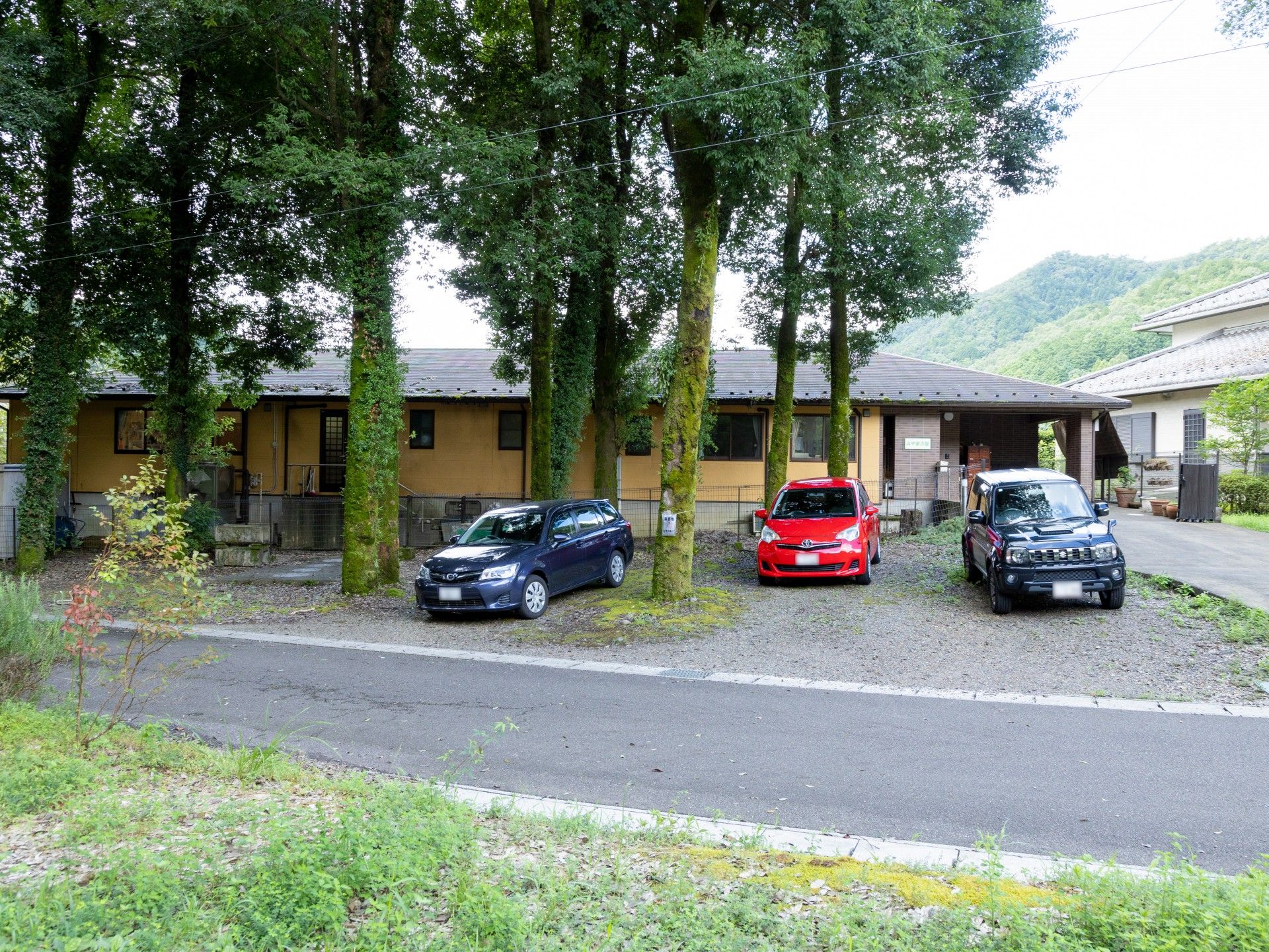 緑に囲まれた建物前景