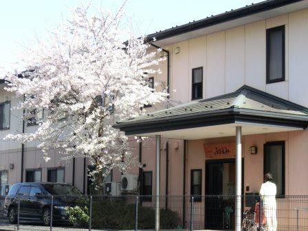 桜と共にある入口
