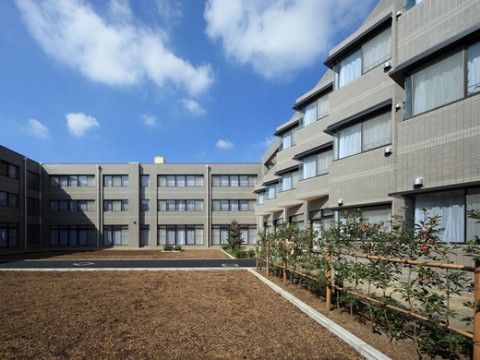 日光が良く当たっている、手入れされた植栽のある中庭
