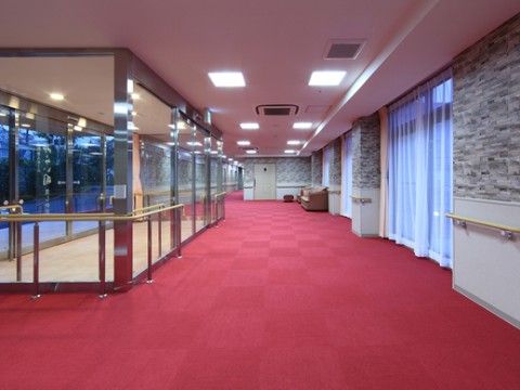 入り口から建物に入ると、正面にはレースのカーテンの掛かった掃き出し窓がある。廊下には連続した手すりがついている。