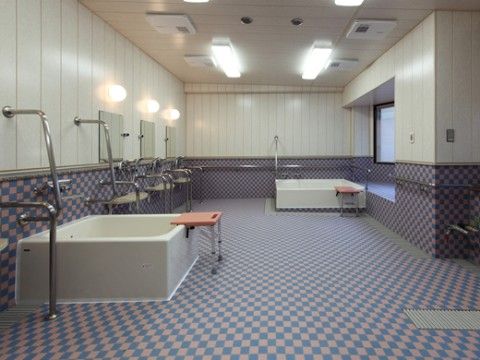 広い浴室の壁には連続した手すりが付いている。シャワーのついたカランの壁には鏡と丸い照明が付いており、小さな台もある。