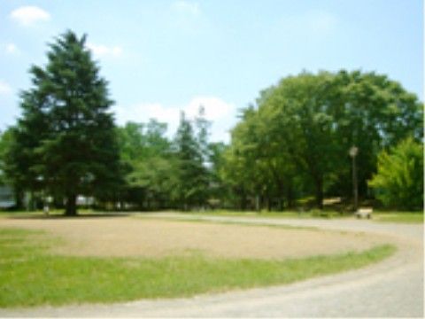 ショッピングモールの近くにあり、芝生が敷かれたとても広々とした公園である。かなり大きな木々があり植栽も豊かである。