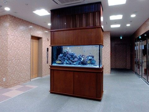 木製の柱の中央部分は水槽になっている。エレベーターを待ちながら熱帯魚や水の揺らぎ、幻想的な青い光に癒される事ができる。