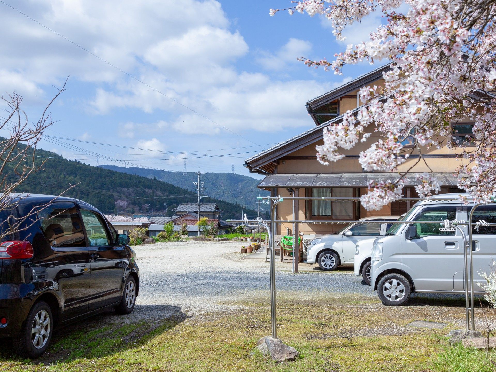 桜と建物の風景