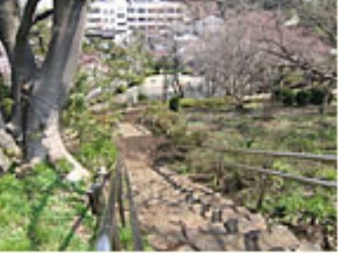 近隣には大きな公園があり、散策に適している。日々の健康維持のため散策や、日光浴などを楽しむことができる。