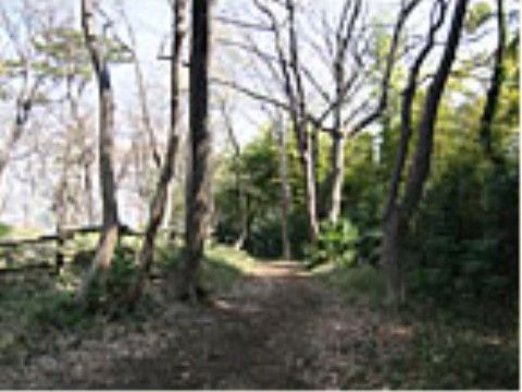 施設から徒歩範囲の場所に、樹林があり散策路もある。天気の良い日には森林浴や散策ができ、自然に親しむことができる。