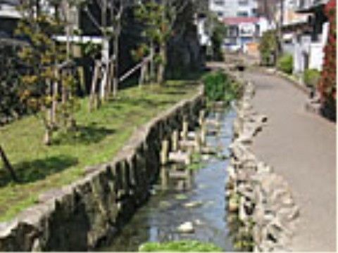 施設近隣には川に沿った遊歩道があり、せせらぎや美しい景色をながめながら散策でき、健康維持にも役立っている。