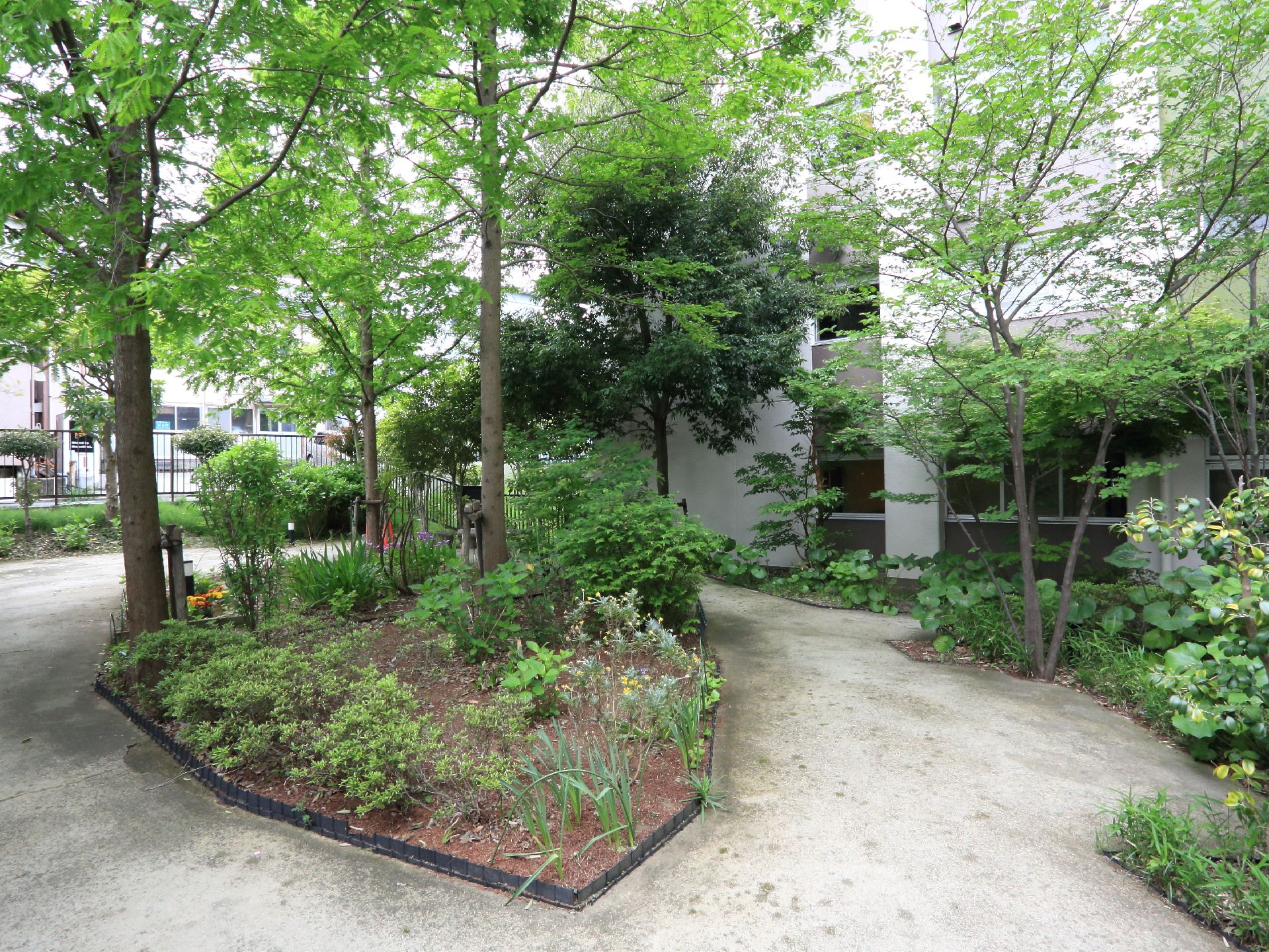 施設敷地内にはたくさんの青々とした木が植えられていて、木陰が作られている。また、花壇にも様々な季節の草木が咲いている。