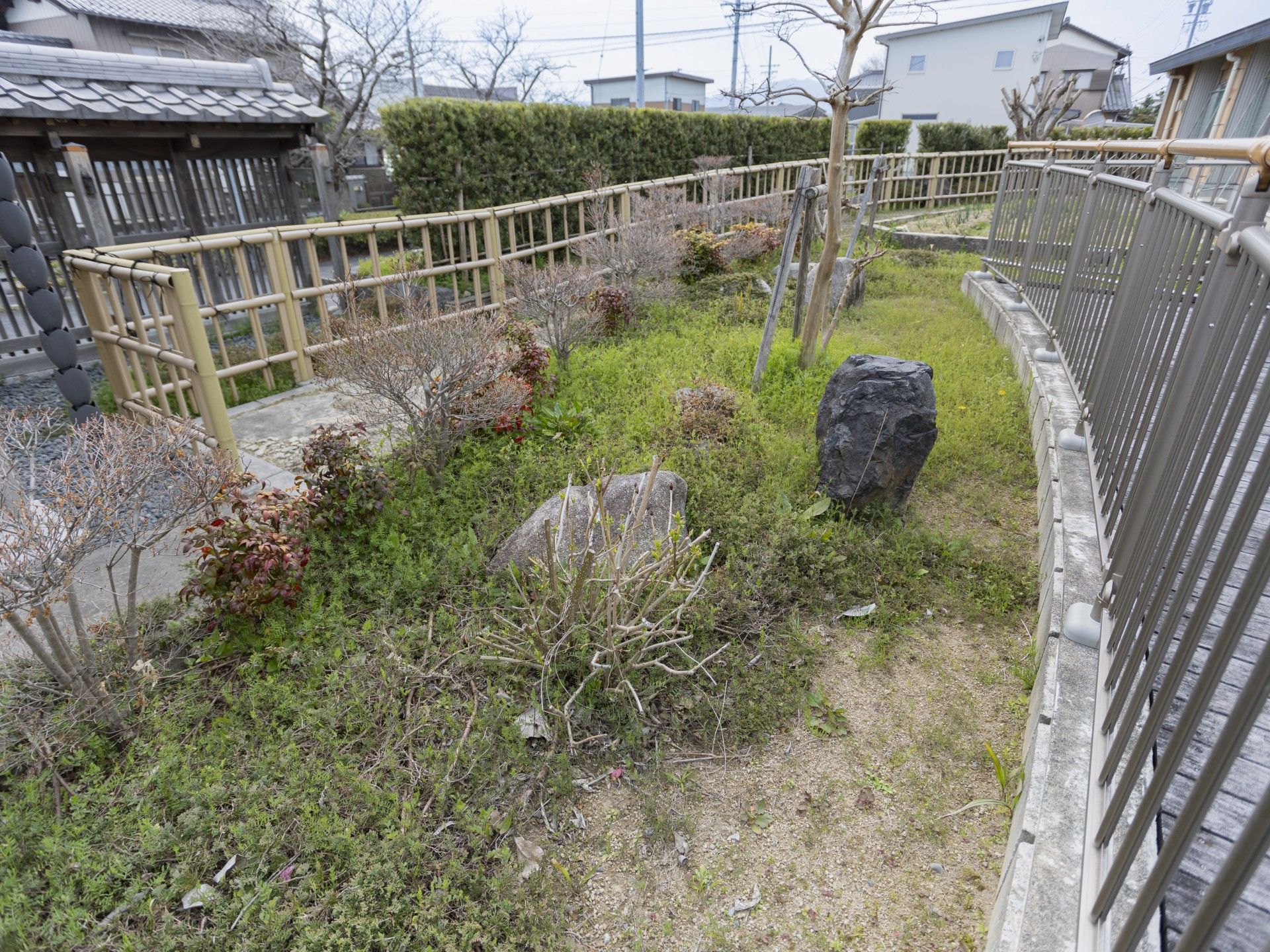 庭園の風景