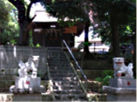 左右に狛犬が配置されている階段の上に神社がある。ご家族やご友人の安全などをお祈りすることができ、散歩コースに適している。