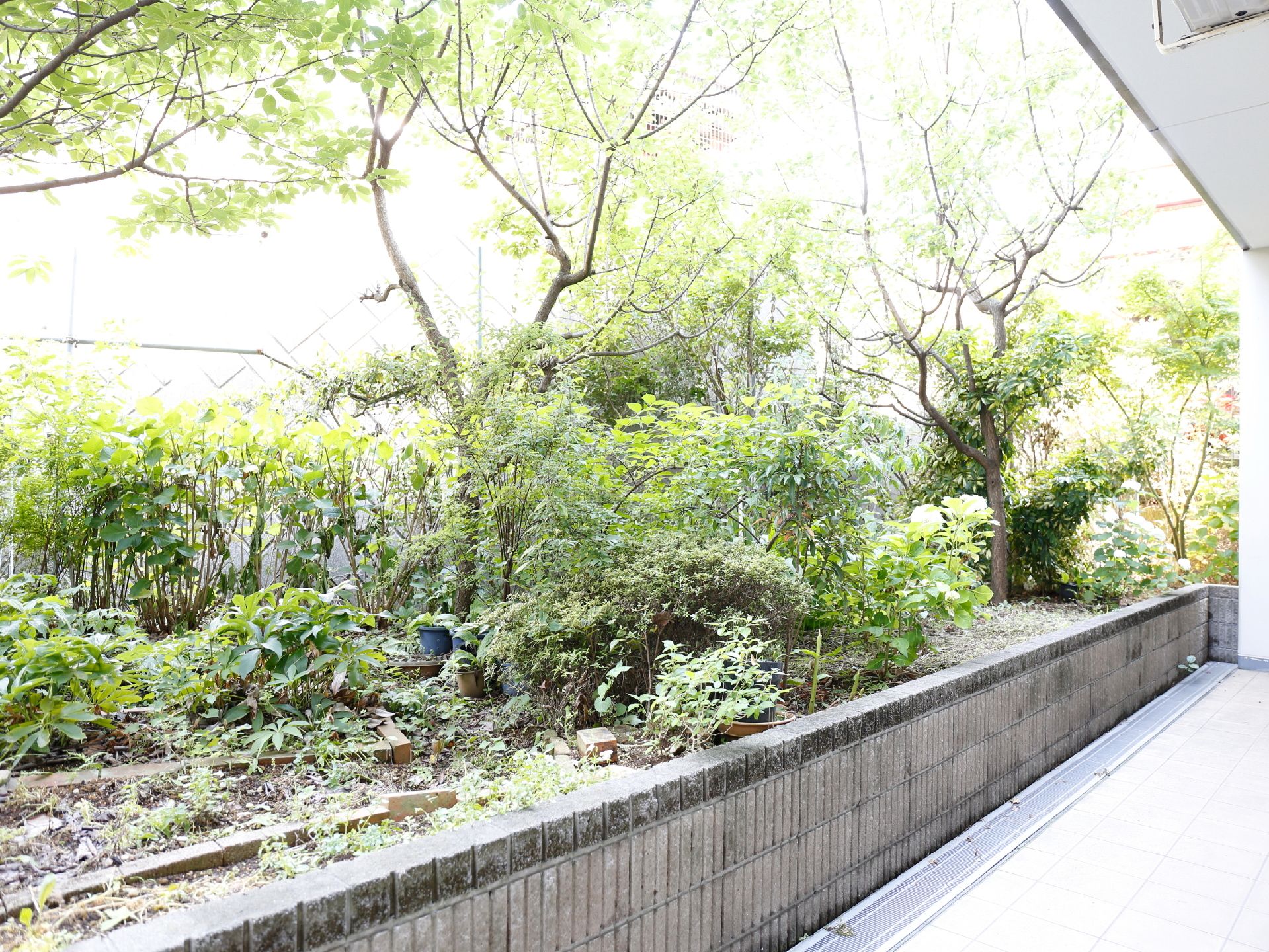 敷地内には植え込みがある。植え込みには何種類もの草や木が植えられている。緑豊かで自然が感じられる場所になっている。