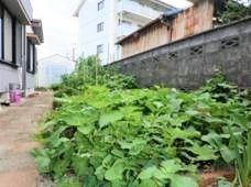 複数の野菜が植えられた菜園スペースが敷地内にあり、よく手入れされている。