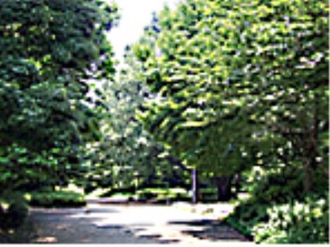 施設周辺には自然溢れる公園がある。少し遠出したいときや自然と触れ合い時に、散歩など楽しむことができる。