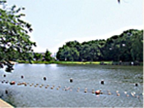 施設の周りにある公園。子どもたちも多く、元気に遊ぶ声を聞きながらゆったりと過ごすことができる。散歩が楽しめる。