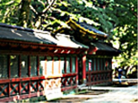 施設の周辺環境。散歩やちょっとした運動がてらに歩いた先には、東京十社の一つであり、春にはつつじが有名な根津神社がある。