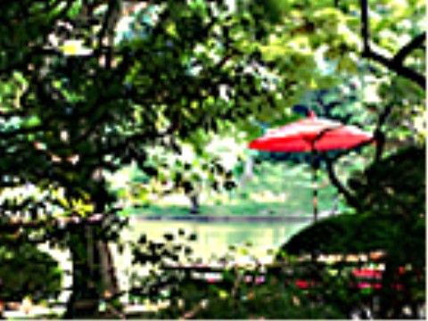 施設から15分程歩いた所に歴史の深い日本庭園を楽しめる公園がある。広い池の周辺を歩くことができ、落ち着いた時間を過ごせるスポットもある。