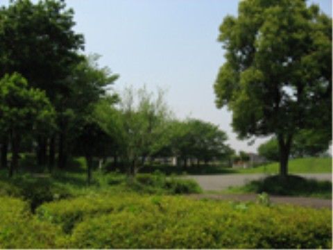 当施設から徒歩ですぐの距離に大きな公園もあり、毎日のお散歩に、春には花見にと豊かな自然を楽しんでいただける。