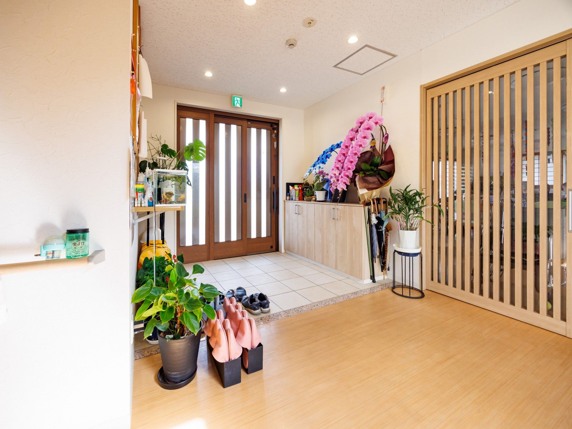 植物が飾られた玄関