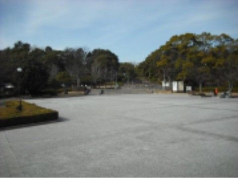 広大な敷地内写真。緑豊かな森の手前には、大きな広場があり、自然に触れることができ、散歩には充分の広さがある。