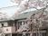 桜の花が咲く枝の向こうには2階建ての建物が建っている。ベランダが付き、グレーの屋根で、屋外階段も設置されている。