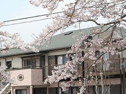 桜が満開に割いている奥には2階建ての建物が建っている。2階部分にはベランダがあり、屋外階段も付いている。