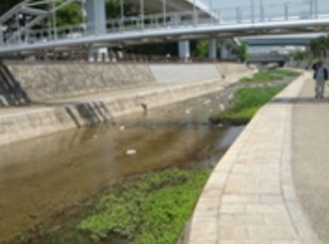 河の両岸は土木整備されており、入居者様はスタッフと同伴で散歩をしながら、安全に川の様子などを眺めることができる。