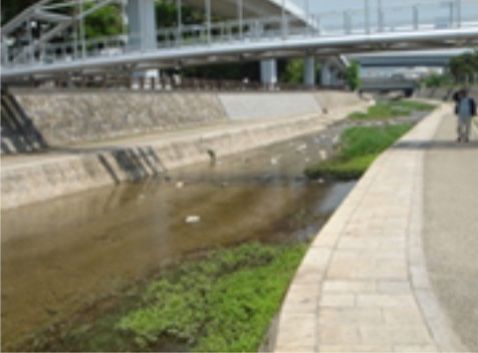 河川は整備されているため、豪雨などの際でも氾濫などを起こすことなく、安定して川の水を流すことが可能である。