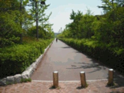 施設から徒歩約２分の所に、両側に木々が生い茂る緑豊かな遊歩道がある。車が通らないので安全にお散歩ができる。