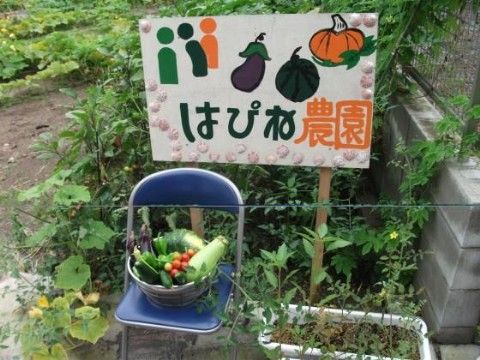 はびきの園の中庭