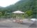 緑豊かな中庭の風景