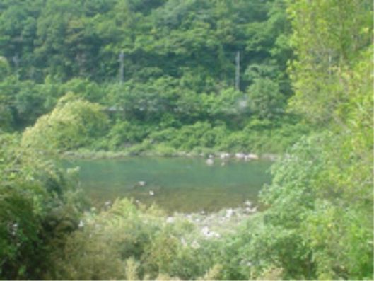 中庭