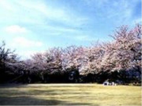 当施設から車で15分ほどの距離には大型の公園があり、ご出かけにも便利である。春には桜をお花見する場所として最適である。