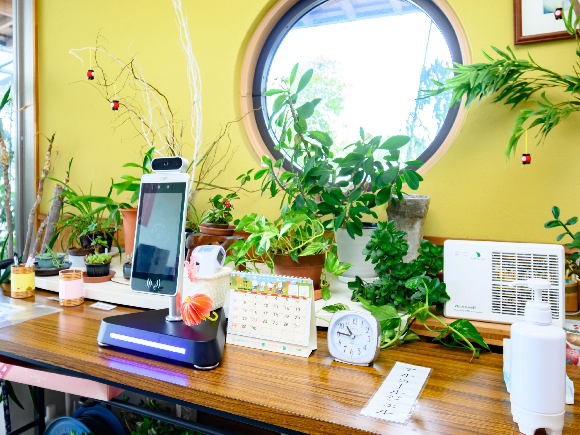 植物などが飾られている、介護スタッフが作成した展示物