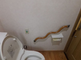 バリアフリー対応のトイレ設備