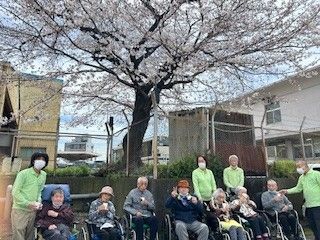桜の下で過ごす人々