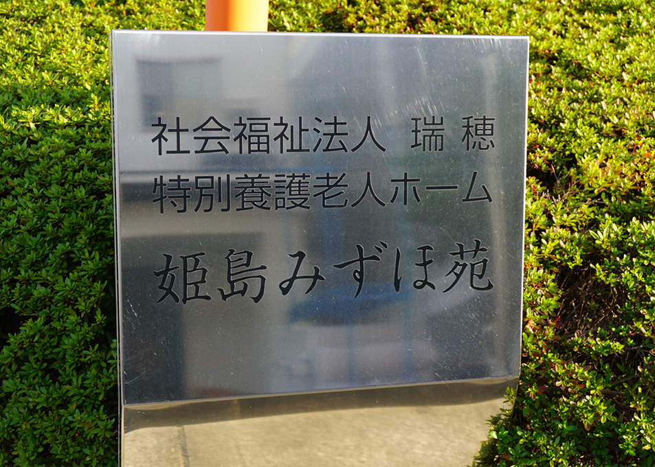 案内板の前の緑