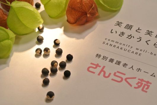 掲示物