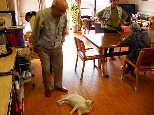 リビングダイニング