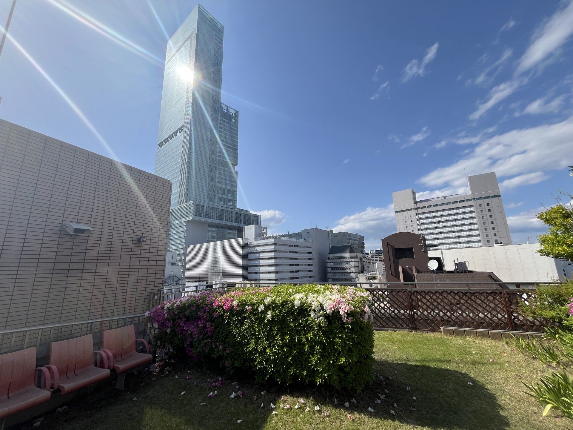 屋上庭園の風景