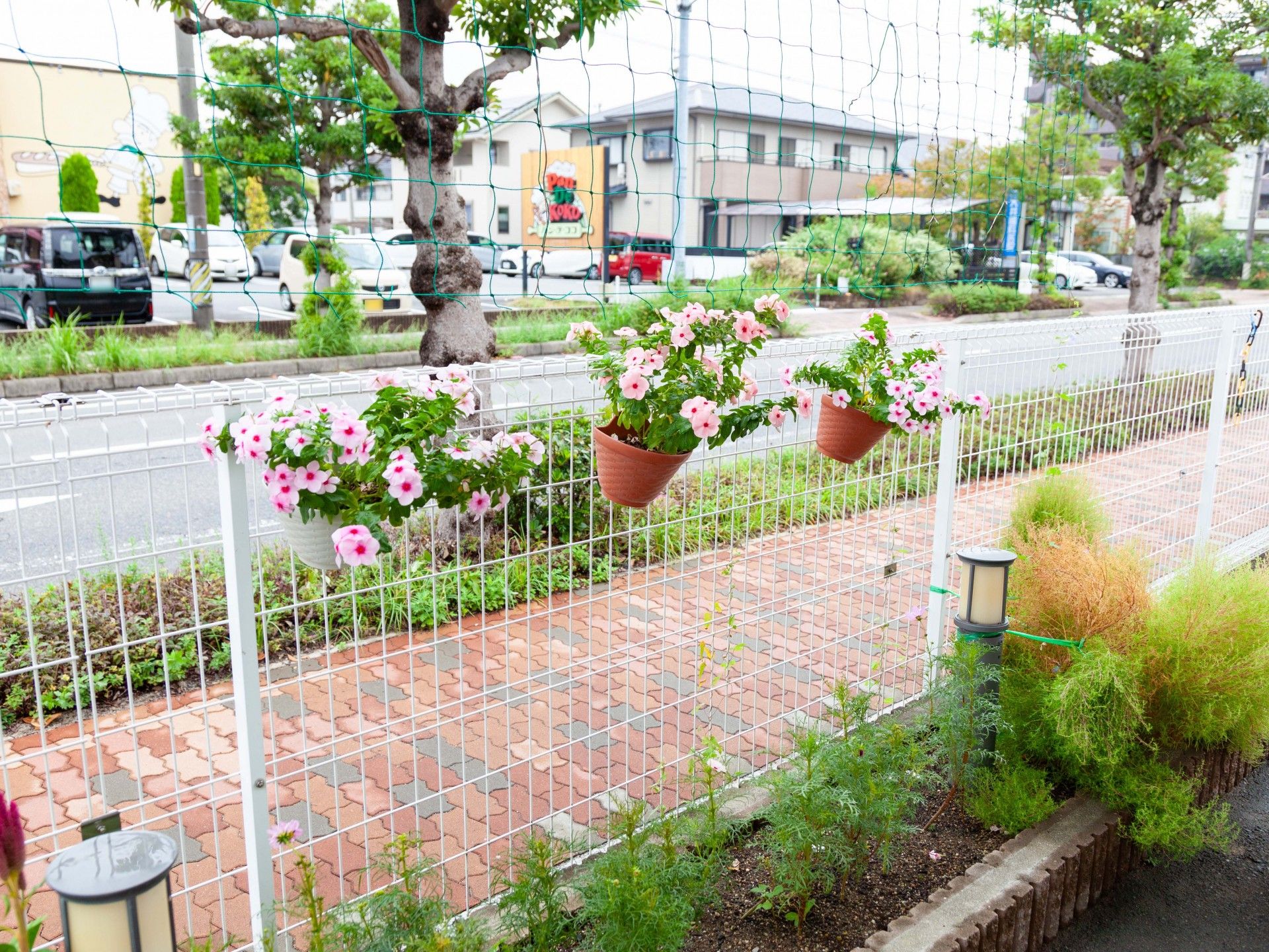 敷地内にある花