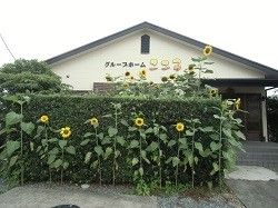 ひまわりが並ぶ明るい外観