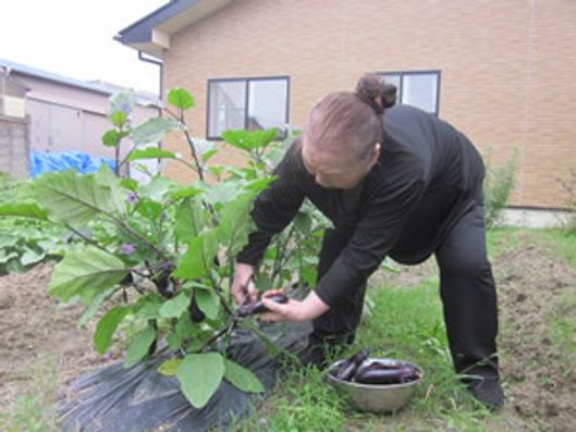 レクリエーション