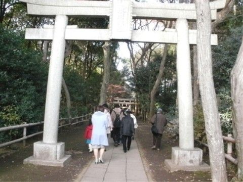 グランクレール成城ケアレジデンスの周辺環境。よりお散歩をお楽しみいただける大きな神社が近隣にございます。