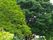 木が植えられている中庭