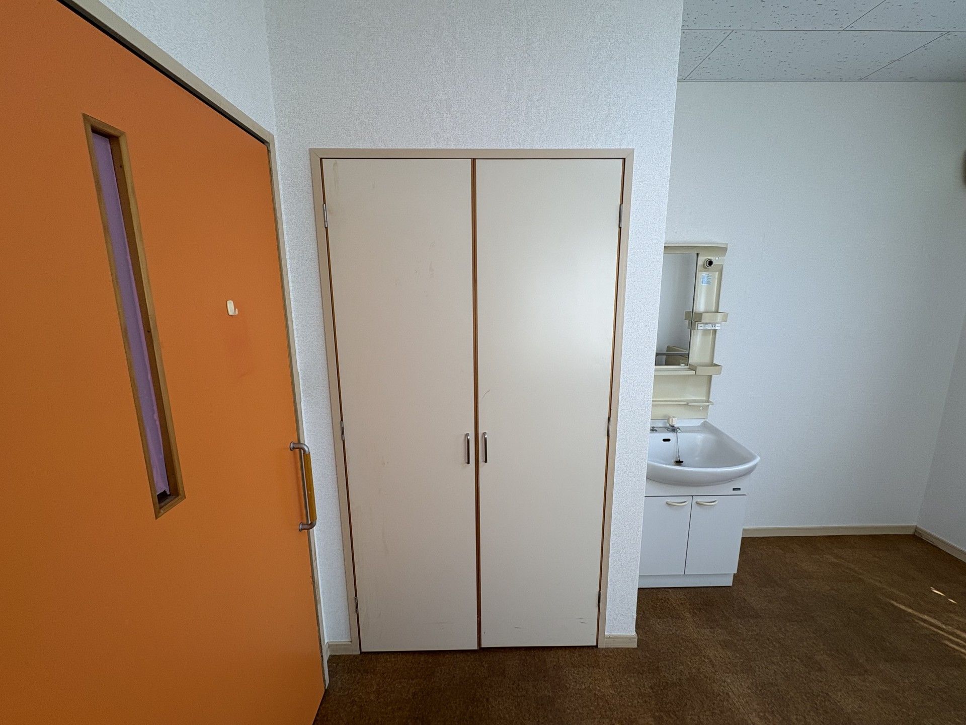 洗面台と収納のある部屋