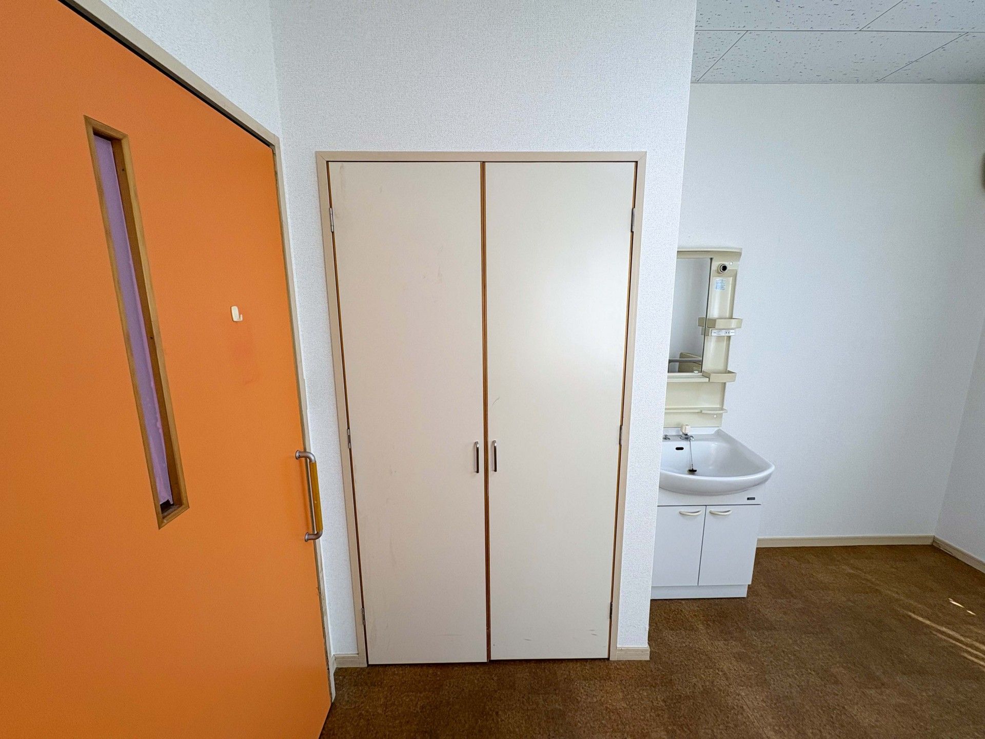 洗面台と収納のある部屋
