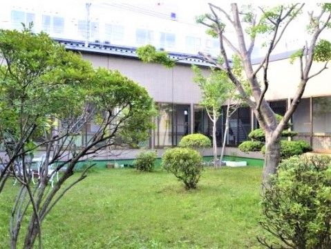施設の建物の前面には広々とした中庭がある。足元は芝生で、背の高い木やさまざまな植物をたくさん植えている。