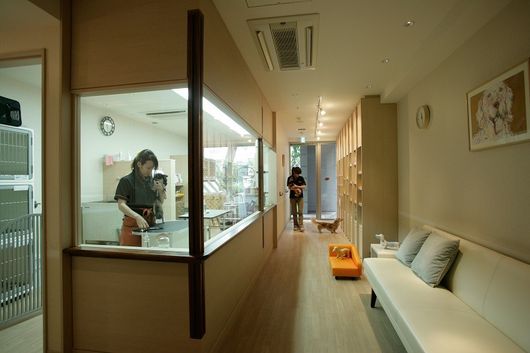 ペットケアサロン