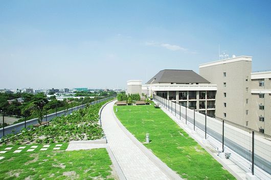 屋上庭園